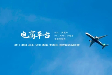 B2C电商平台